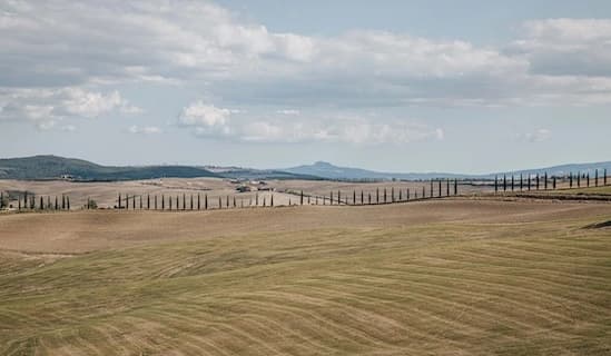 Photo de terrains cultivés